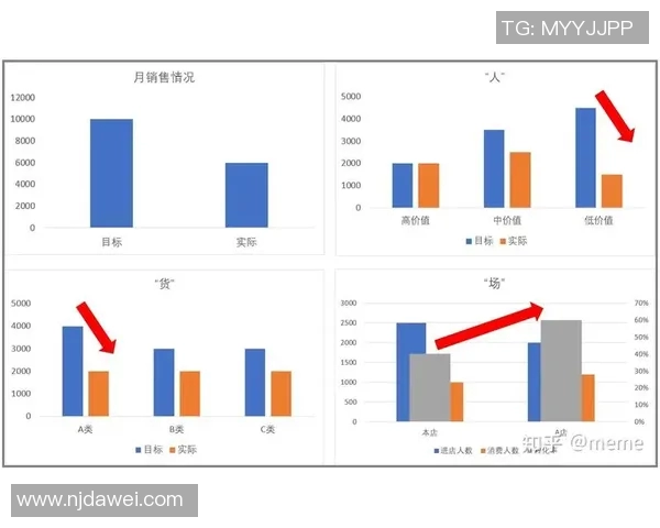 深入探讨杭州乒乓球队实力表现与数据分析的全面解读