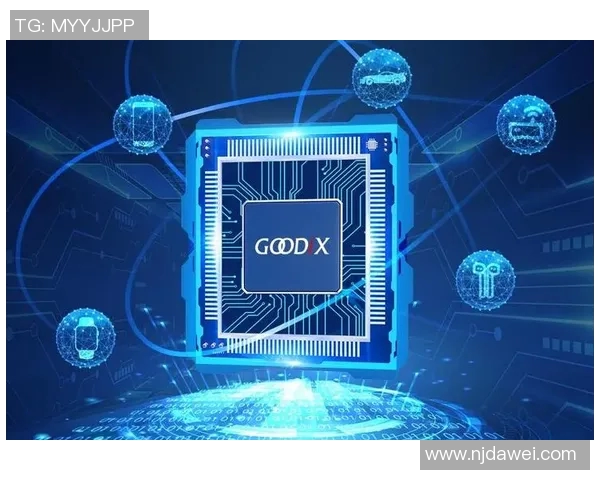 广州排球队重塑辉煌之路揭秘赛场背后的转型与挑战 广州排球队重塑辉煌之路揭秘赛场背后的转型与挑战