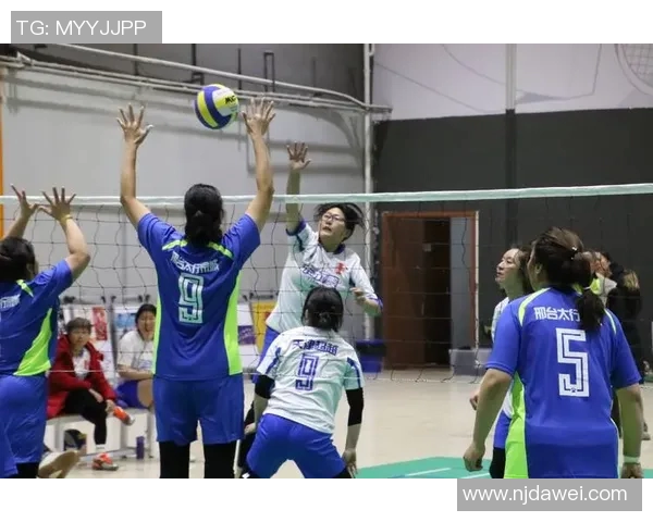 权威发布：2023年排球配合实力榜单全面解析与评比