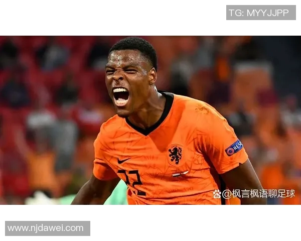 穆伦荷兰足球明星的辉煌历程与成就回顾